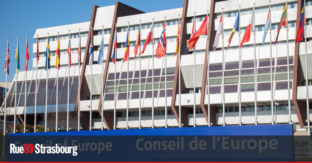 Strasbourg. Rassemblement contre les violations des droits humains en Turquie
