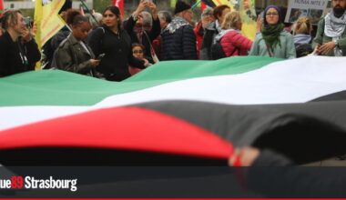 Strasbourg. Manifestation pour un cessez-le-feu en Palestine samedi 7 juin
