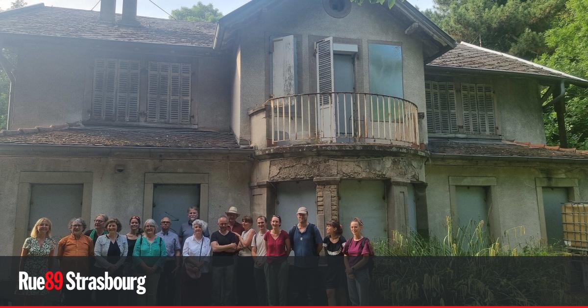 À Strasbourg, des villas pour accueillir des associations de protection de l'environnement