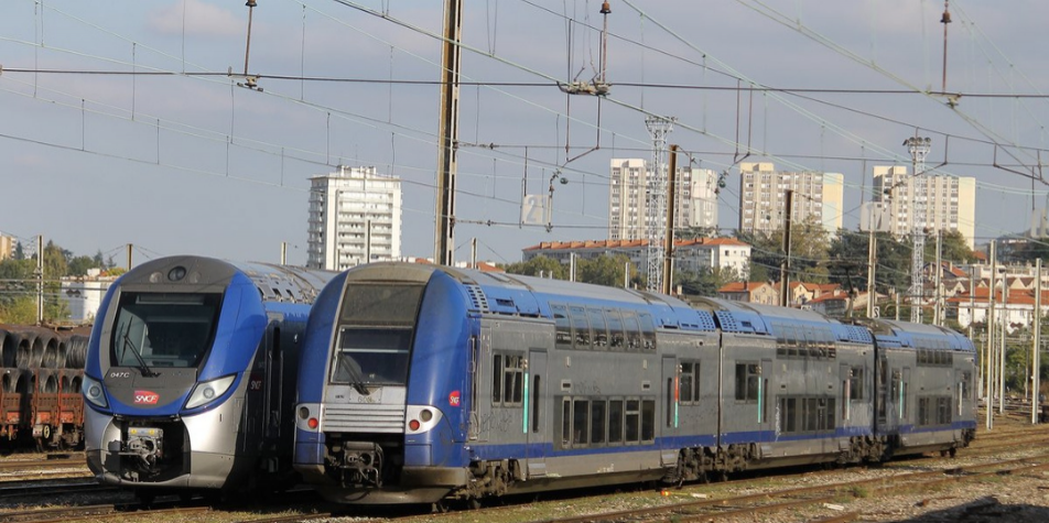 Un train percute un arbre près de Lyon : deux lignes à l'arrêt 