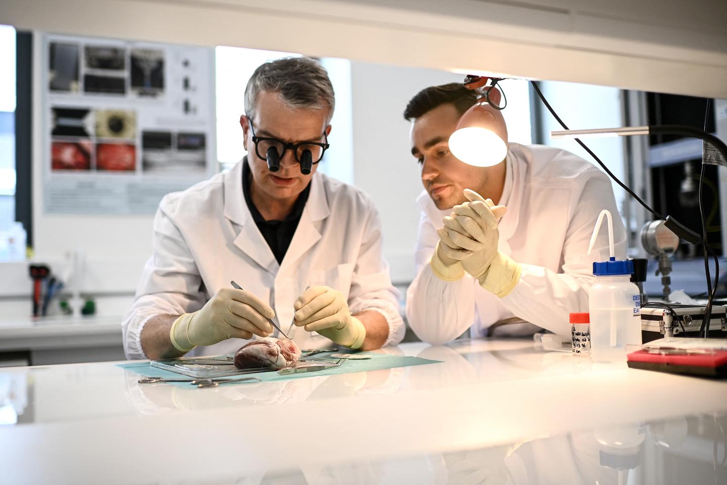 une étude de Santé publique France pointe de fortes disparités territoriales