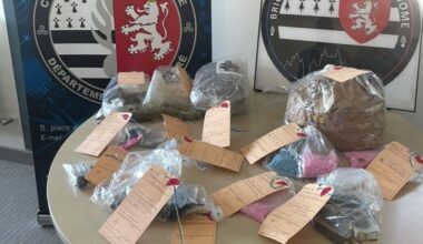 1 224 cachets d’ecstasy et 2 kg de cannabis saisis par la gendarmerie