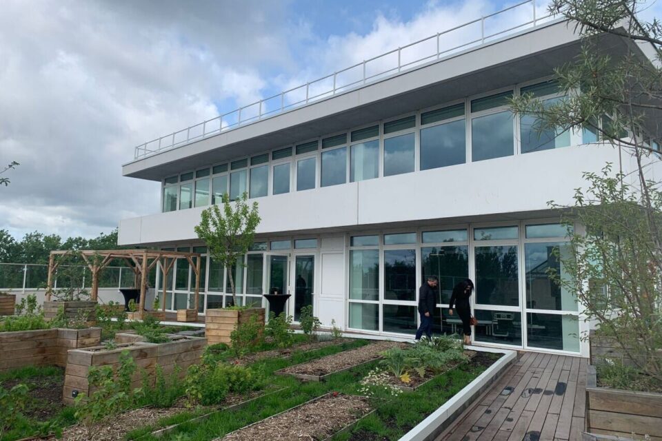 Ce sont 8 000 m² d'espaces verts, en pleine terre ou sur les toits, comme ici côté bureaux, qui ont été implantés à Sensorium.