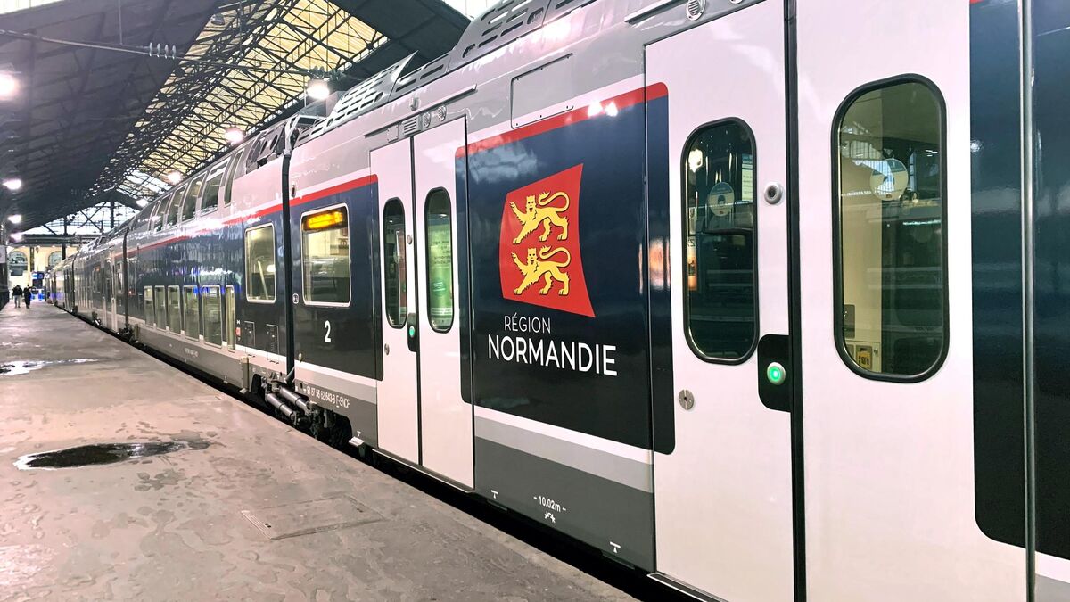 Ligne nouvelle Paris-Normandie : après le coup d’arrêt, on fait le point sur ce projet ferroviaire