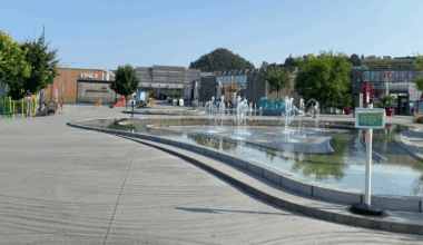Saint-Étienne : une nouvelle enseigne à la place de Jennyfer au centre commercial Steel