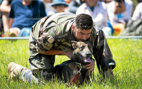 Une démonstration des maîtres-chiens des fusillers marins de la Marine nationale était proposée.