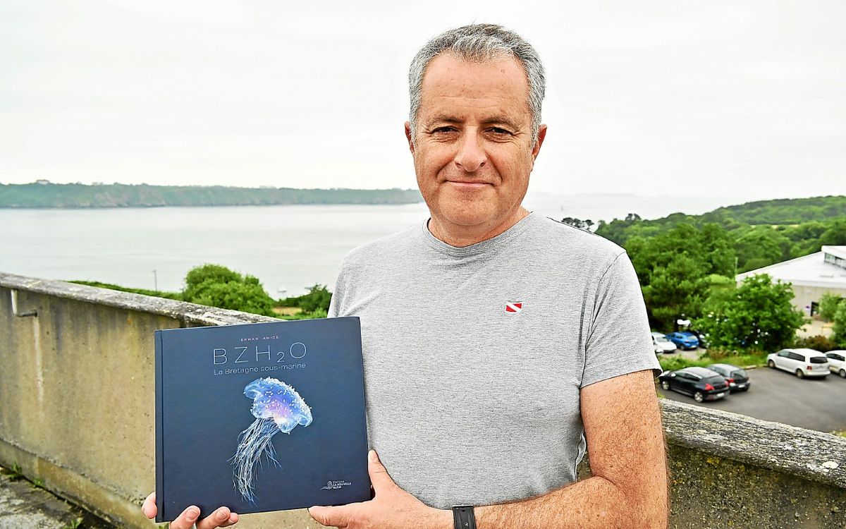 « BZH2O » : Erwan Amice publie un beau livre sur la faune sous-marine bretonne