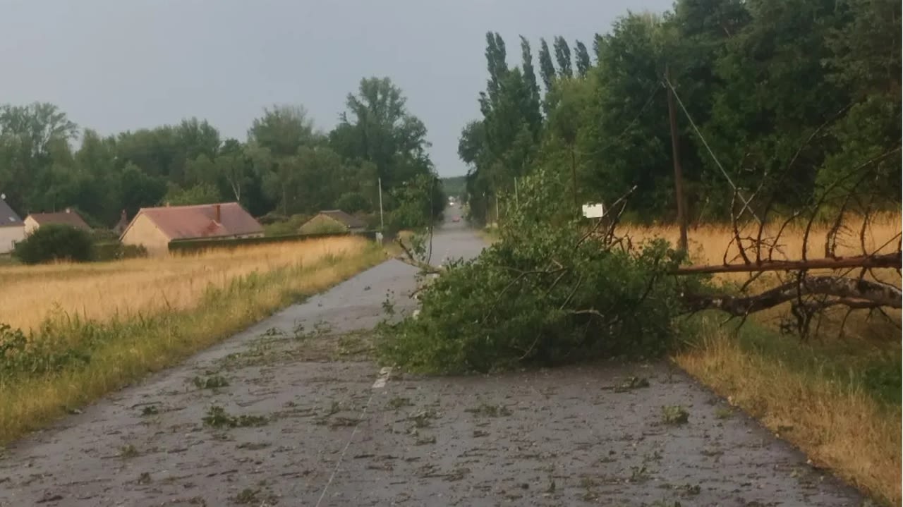 De nombreux arbres sont tombés sur les routes du département, dans la soirée de mercredi.