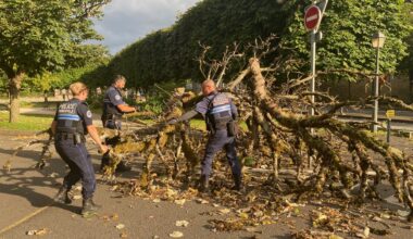 des arbres au sol, des routes coupées et des coupures d’électricité