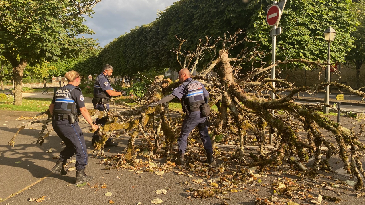 des arbres au sol, des routes coupées et des coupures d’électricité