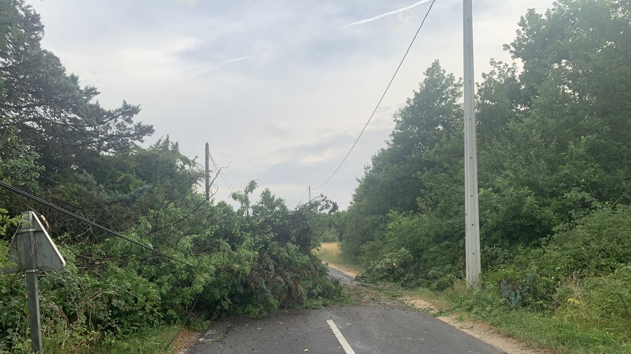 Les arbres au sol ont rendu plusieurs routes inaccessibles.
