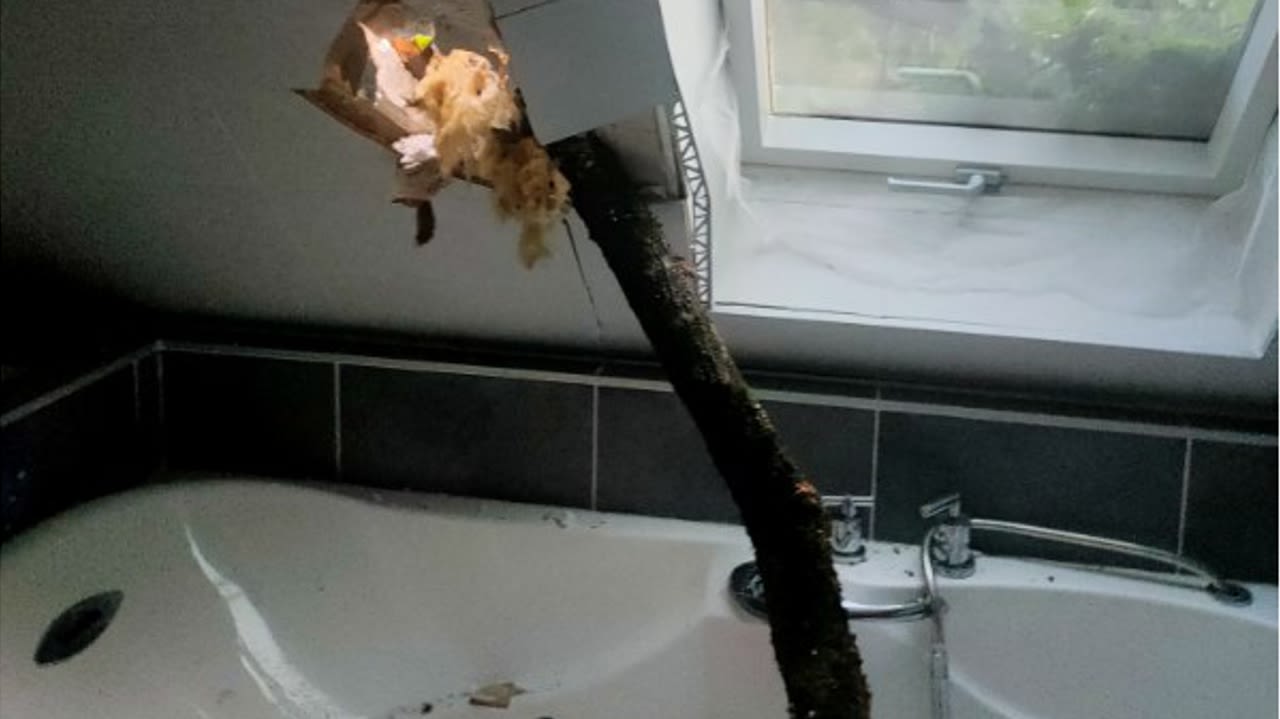 La branche a transpercé la toiture avant de venir se loger dans la baignoire.