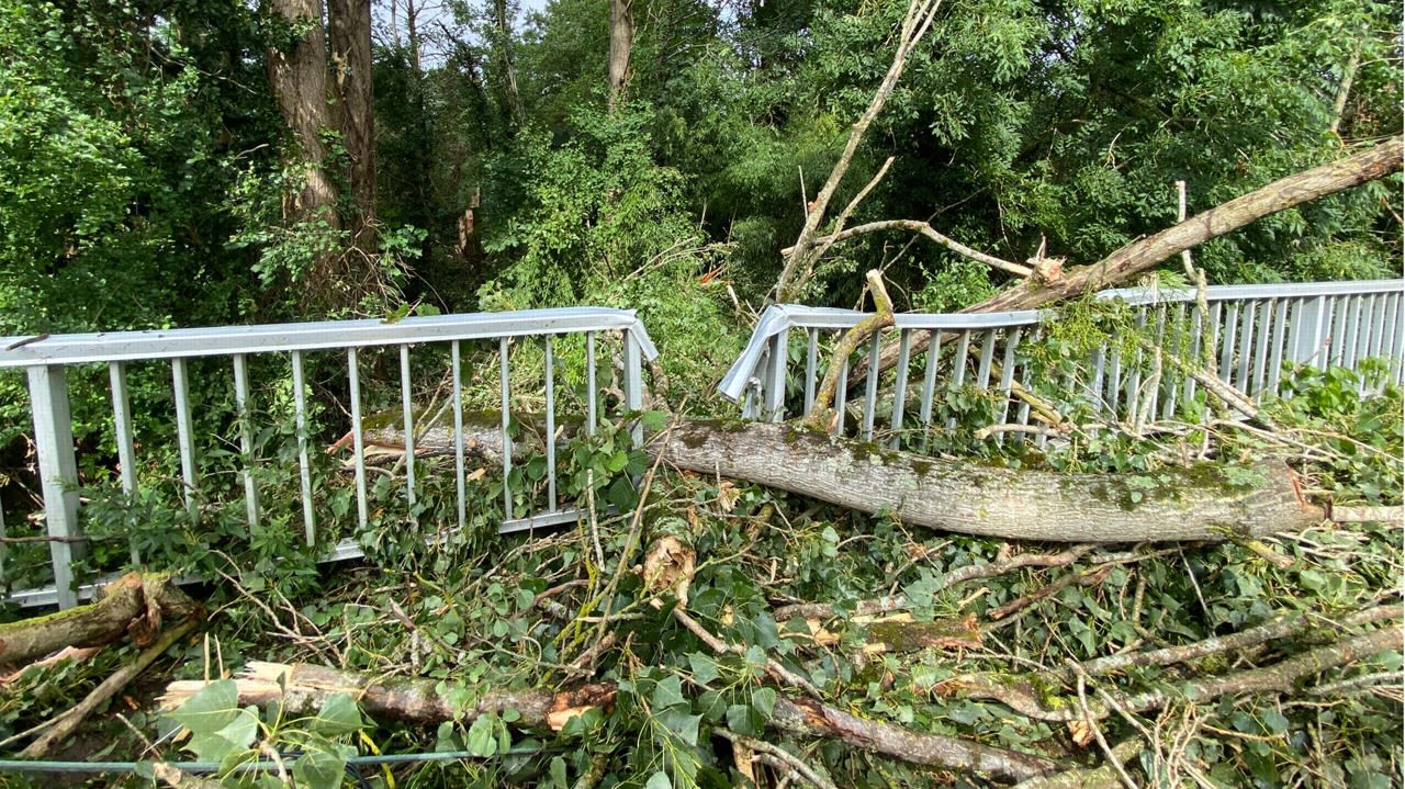 Un arbre est tombé en travers du pont surplombant la rivière La Tourmente, à Écueillé.