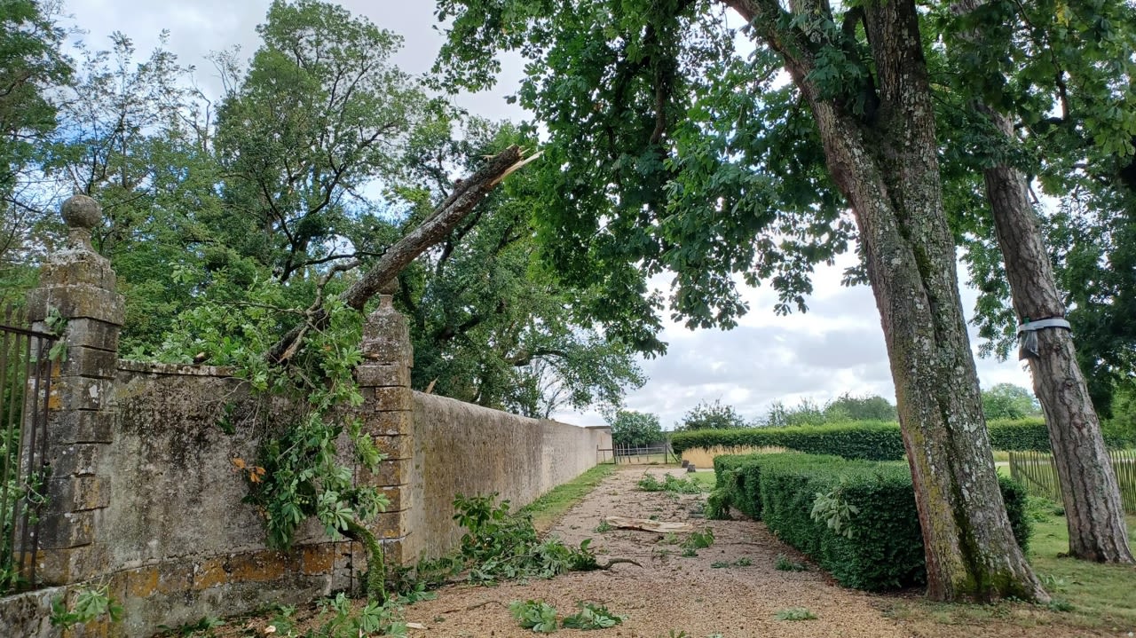 Le château et les jardins de Talcy sont fermés au public jusqu’à nouvel ordre.
