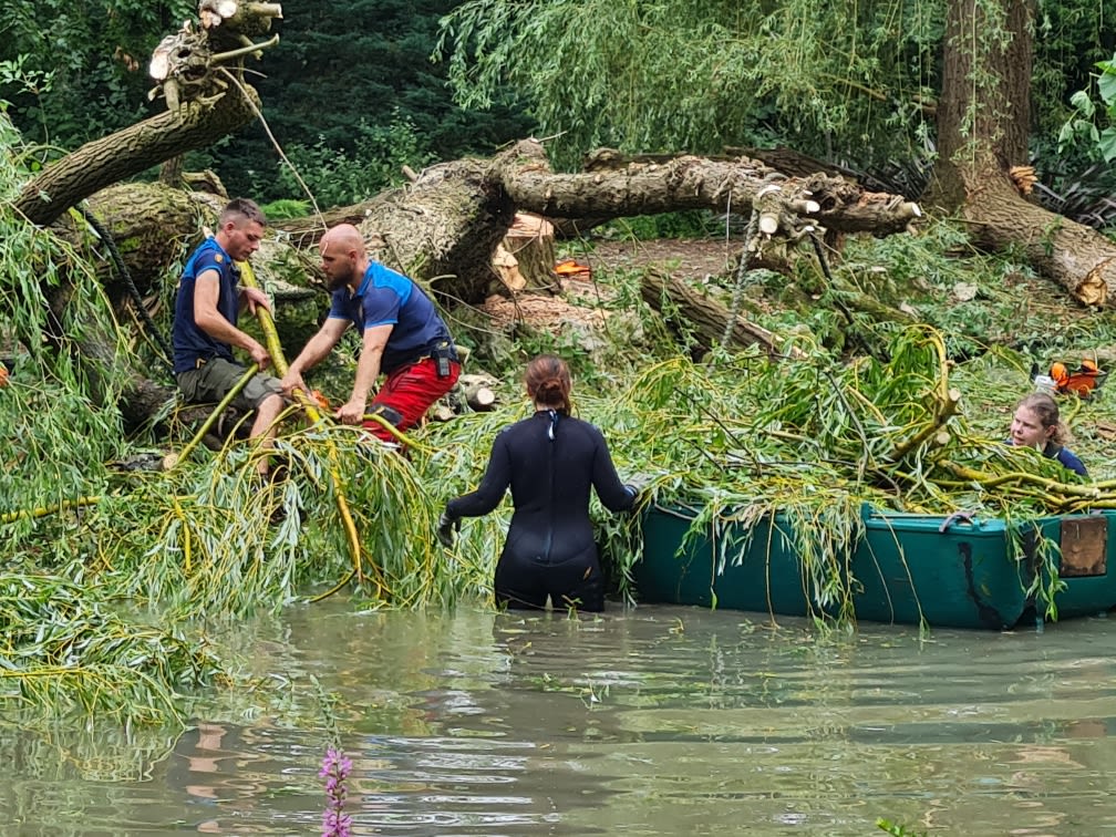 Les équipes du ZooParc de Beauval à pied d’œuvre.