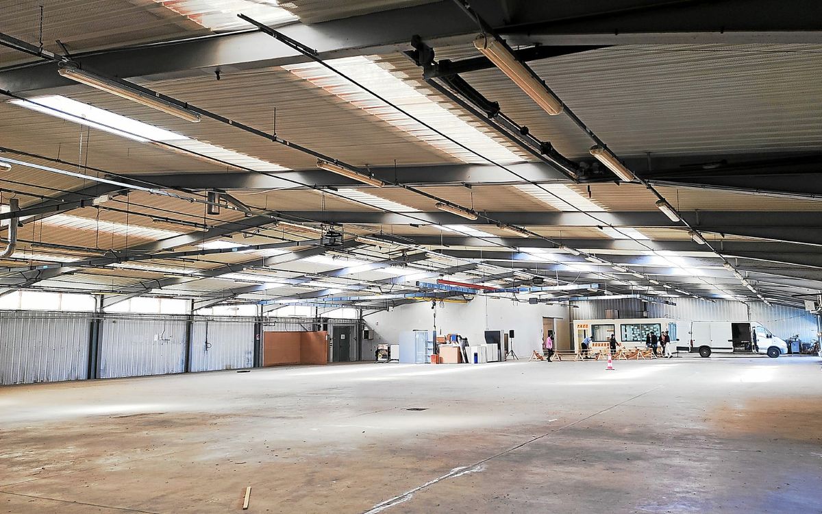 Spectacles, installations et restitution de l’étude architecturale à l’ancienne usine Le Guellec à Douarnenez, samedi 28 juin