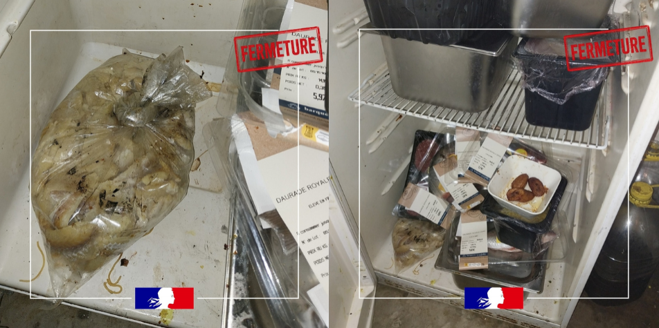 Insalubrité, présence de nuisibles : un restaurant de Saint-Étienne fermé après un contrôle