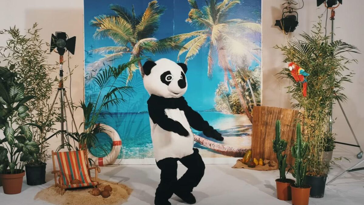 « C’est cadeau, c’est bibi qui offre » : le geste touchant de Julien Doré envers Chantal Goya après le vol de Pandi Panda