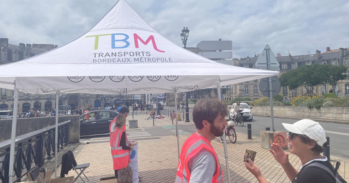 À Bordeaux, les travaux sur le pont de pierre sèment la zizanie après l’arrêt de la circulation des tramways
