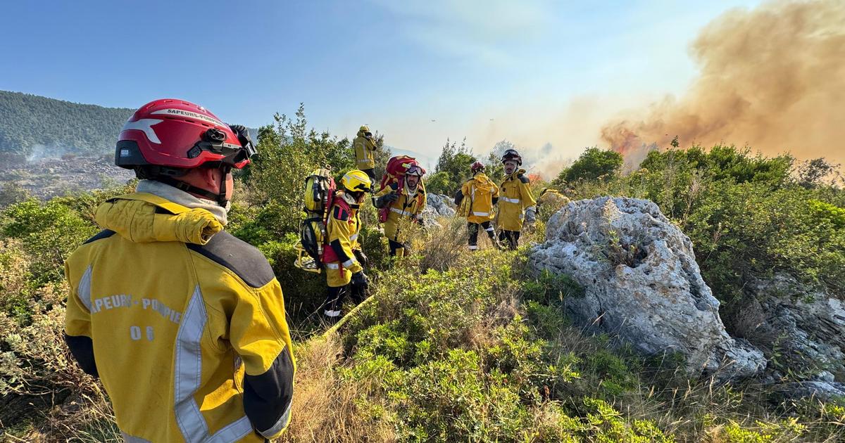 Près de Nice, 14 hectares de végétation brûlés après l’incendie d’un véhicule