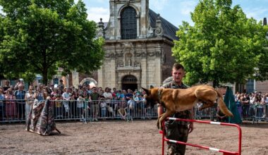 après un franc succès, l'armée de Terre promet une prochaine édition