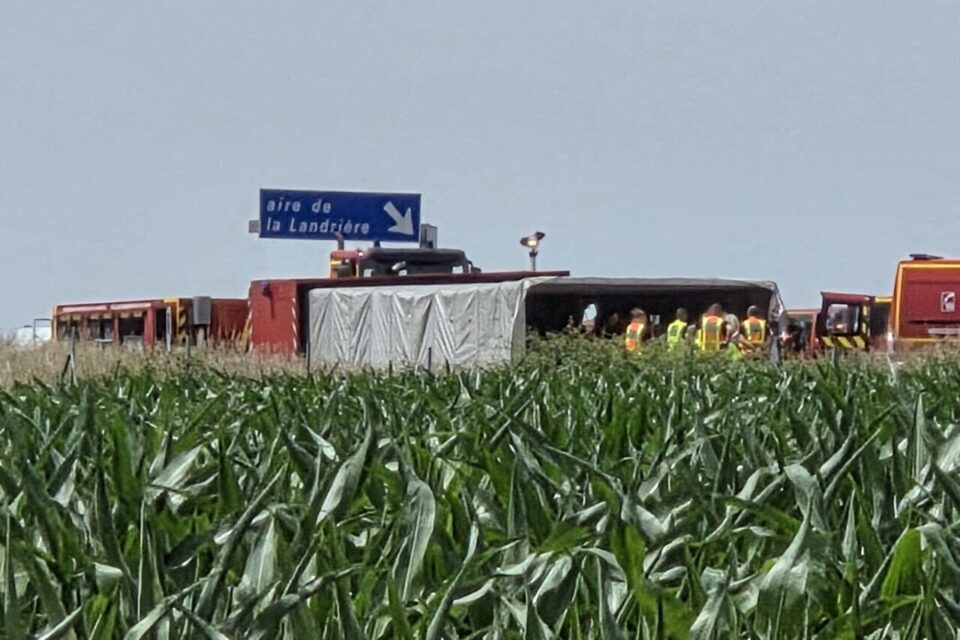 Un accident mortel s'est produit sur l'autoroute A81, à hauteur de Degré (Sarthe), ce vendredi 13 juin 2025.