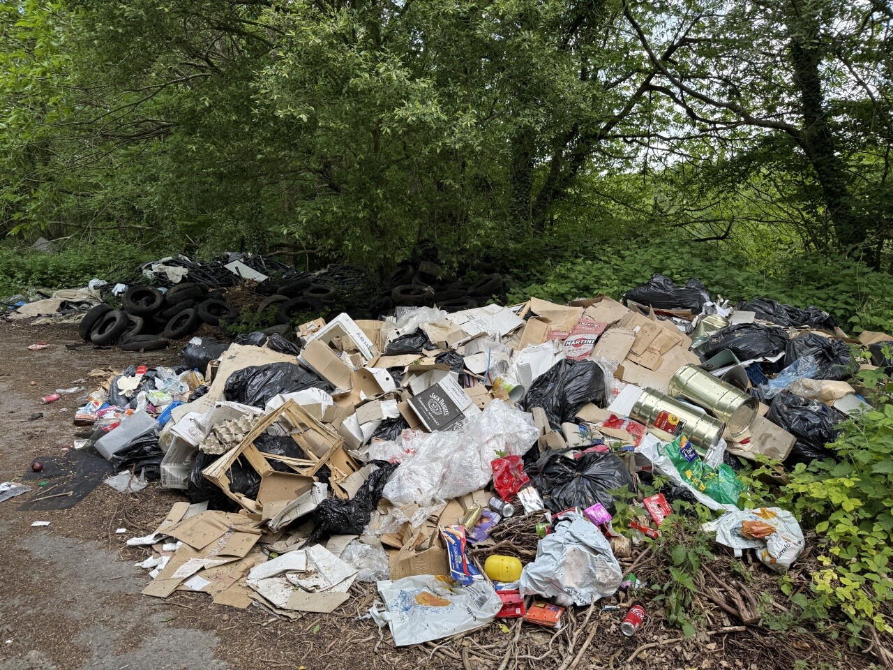 Métropole de Grenoble. Ces gendarmes au rôle bien particulier vont patrouiller tout l'été