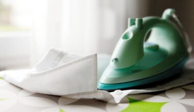 Emploi. 40 postes à pourvoir dans la métropole de Lille dans les services à la personne
