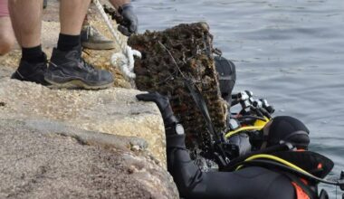 Pneus, bouteilles, plastiques, métaux... De nombreux déchets ont été sortis des eaux en baie de Saint-Mandrier