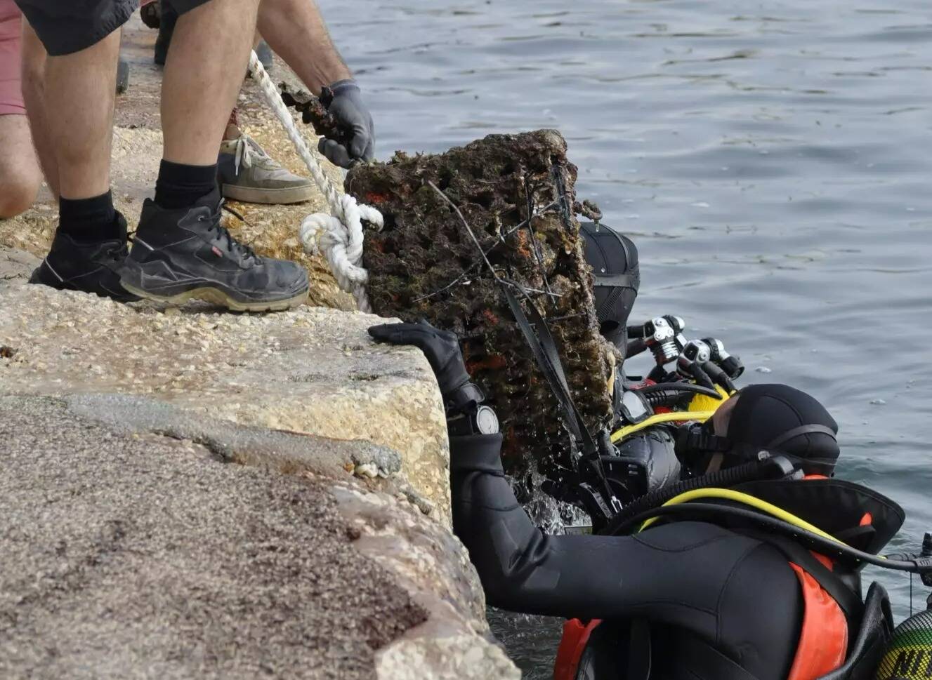 Pneus, bouteilles, plastiques, métaux... De nombreux déchets ont été sortis des eaux en baie de Saint-Mandrier