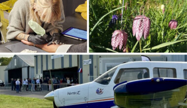 Jardins, tattoo, balades, aérodrome... Que faire ce samedi 7 juin à Lille et dans le Nord