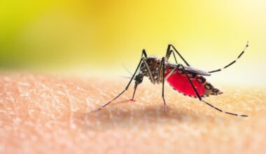 «Il faut s’attendre à une augmentation des risques d’épidémie en France»