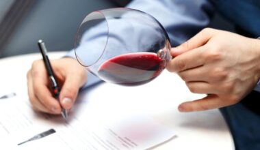 les 15 vins disponibles en primeur ayant reçu les meilleures notes des grands critiques internationaux
