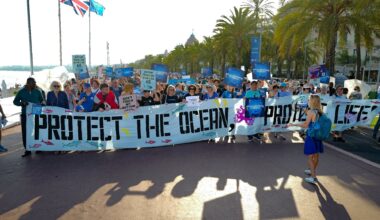À Nice, les associations donnent de la voix à la veille du sommet pour l'Océan