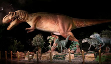 Plongez dans l’ère jurassique :« Dinos alive », une expérience immersive palpitante à Paris Expo