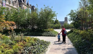 « C’est beau et ça change » : devant l’Hôtel de Ville de Paris, les premiers visiteurs de la « forêt urbaine » séduits