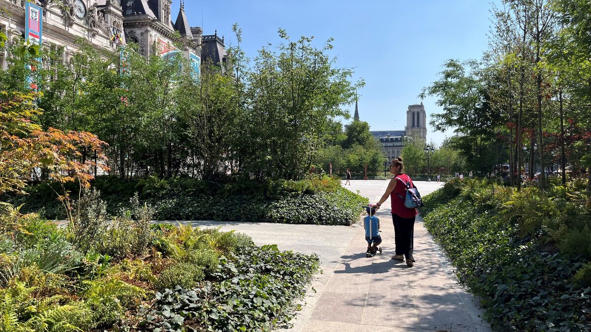 « C’est beau et ça change » : devant l’Hôtel de Ville de Paris, les premiers visiteurs de la « forêt urbaine » séduits