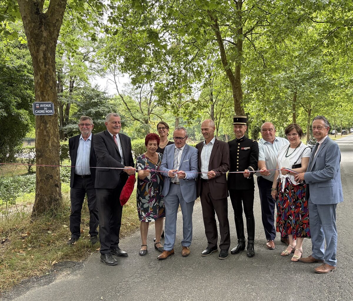 Saumur. Nouvelle avenue et statuettes en bronze, l’IFCE s’engage dans un renouveau en matière d’image