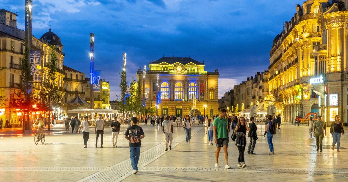 Lucioles, grenouilles, oiseaux nocturnes… A Montpellier, la pollution lumineuse des lampadaires passée au crible par les scientifiques – Libération