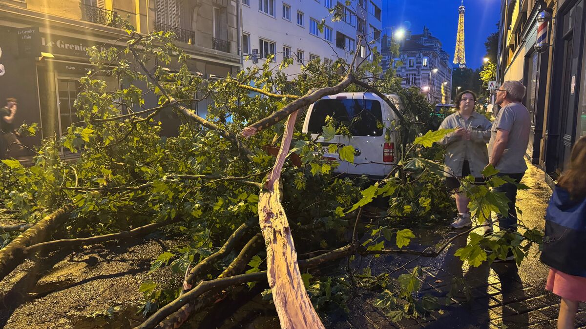 Paris : rafales à 112 km/h sur la tour Eiffel, des dizaines d’arbres déracinés... Un violent orage frappe la capitale