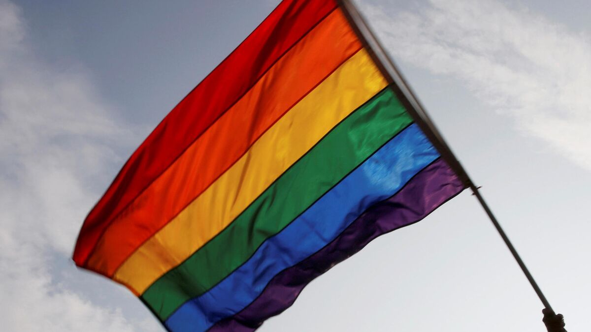 Un homme interpellé après une agression homophobe lors de la marche des fiertés à Saint-Étienne