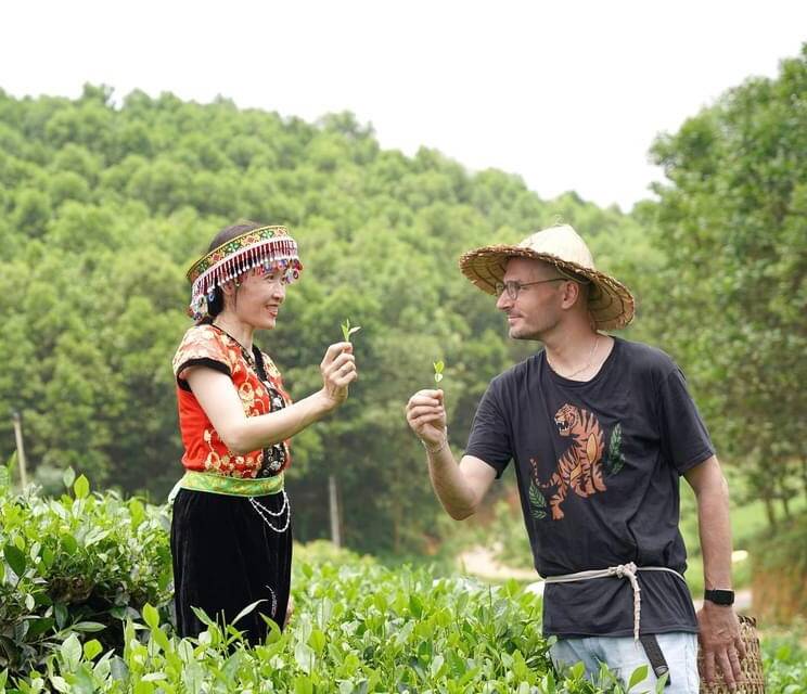 Jérémy Tamen, l'ethnobotaniste et aromaticien toulonnais qui a du nez
