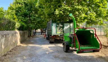 Des habitants de ce quartier de Toulon se mobilisent pour sauver des platanes