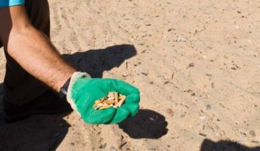 "Un seul peut polluer 500 litres d'eau!": dans la métropole de Toulon, 600 bornes déployées pour récupérer les mégots