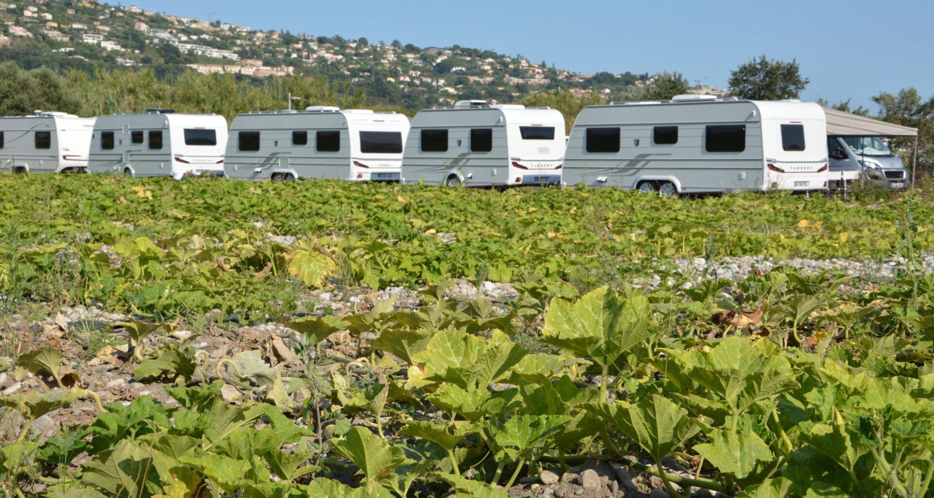 Gens du voyage à Saint-Laurent-du-Var: la Métropole dénonce des "installations sauvages" au milieu des champs de courgettes