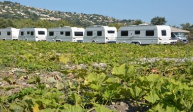 Gens du voyage à Saint-Laurent-du-Var: la Métropole dénonce des "installations sauvages" au milieu des champs de courgettes