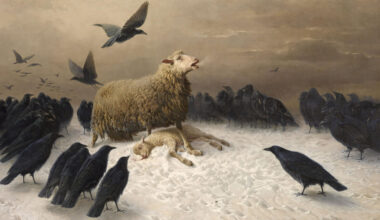 « Il leur insufflait des sentiments » : August Schenck, le peintre animalier oublié qui humanisait les moutons