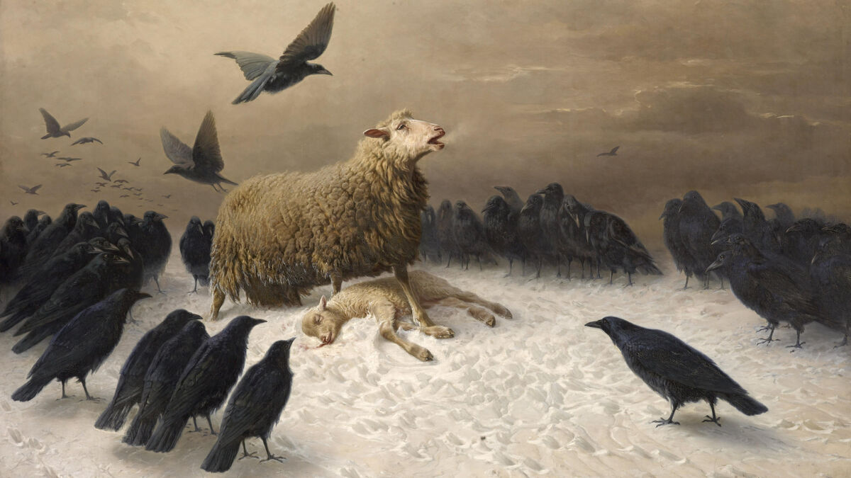 « Il leur insufflait des sentiments » : August Schenck, le peintre animalier oublié qui humanisait les moutons
