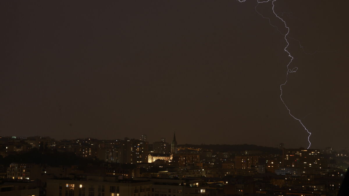Orages : la jeune femme heurtée par une branche à Paris est morte