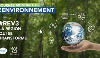 Journée mondiale de l’environnement : en Hauts-de-France, on agit au quotidien